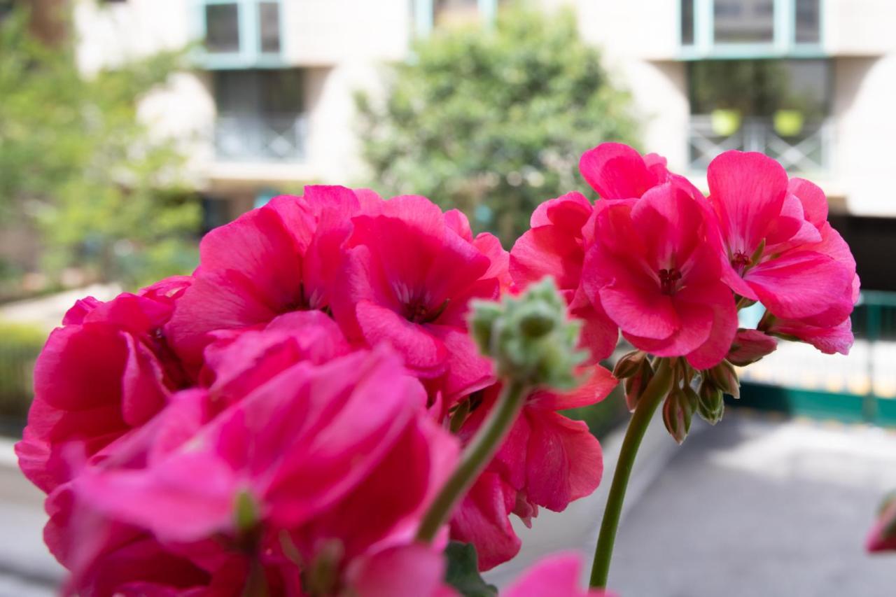 Boutique Apartment La Lavande Free Parking 10 Min Walk Nizza Kültér fotó